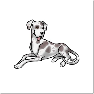 Dog - Great Dane - Harlequin Natural Ears Posters and Art